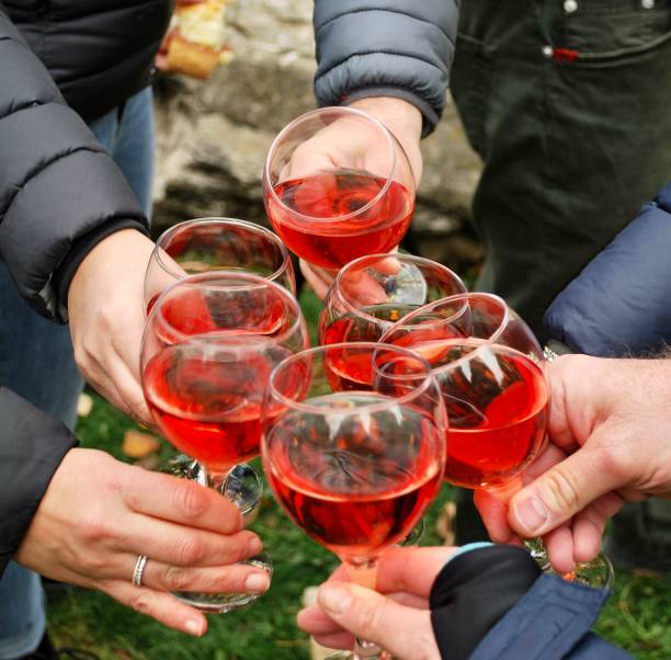 istock Meeting and toast between friends 2 1355044629
