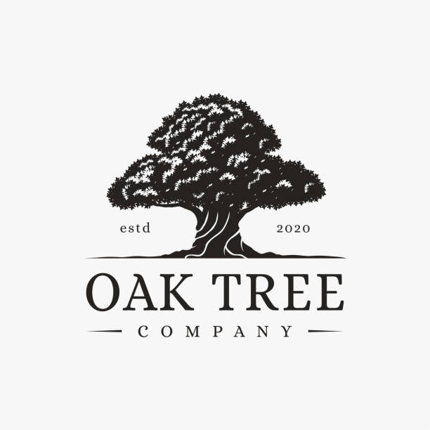 Vintage tree of life Logo, old big oak tree logo vector on white background Vintage tree of life Logo, old big oak tree logo vector on white background farm silhouettes stock illustrations