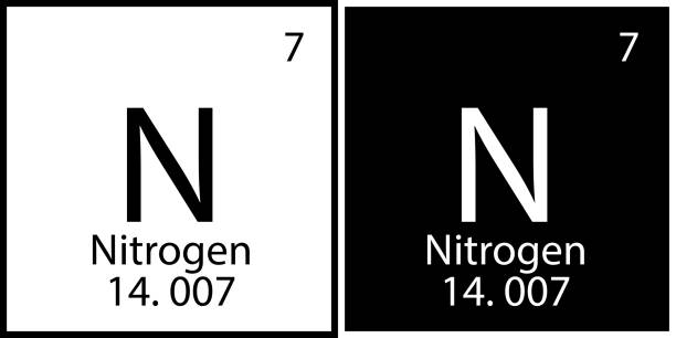 Nitrogen sign. Chemical element. Mendeleev table. Periodic symbol. Black and white. Vector illustration. Stock image. Nitrogen sign. Chemical element. Mendeleev table. Periodic symbol. Black and white. Vector illustration. Stock image. EPS 10. nitrogen element stock illustrations