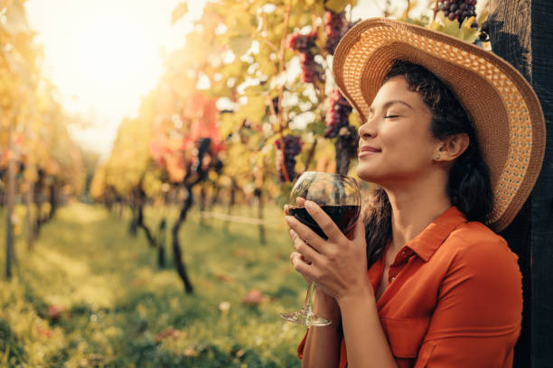 istock Young woman harvesting in vineyards 1355049100