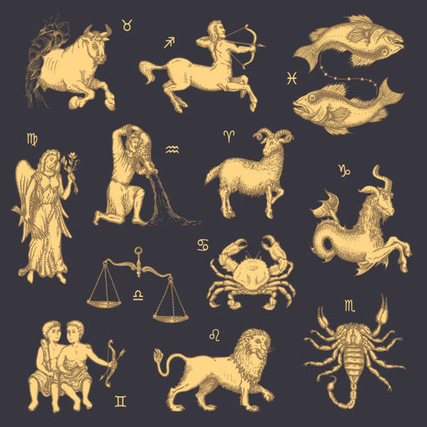 istock Zodiac signs collection, vector drawings in engraving style. Horoscope symbols design concept, hand drawn illustrations. Astrological background. 1355049805