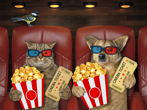 A beige cat and a dog in 3d glasses are eating popcorn and watching a movie in the cinema.