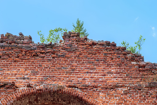Fragment of the old wall of Kirkha of the Yakkim parish made of red brick with a tree growing on top in the city of Lahdenpohja in Karelia.