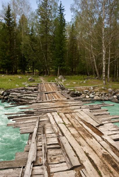 istock wooden bridge on a river 1355054641
