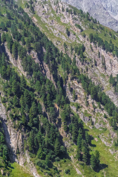 istock Stubaital in Tyrol 1355061845