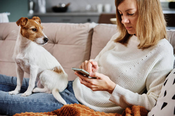 istock Woman sit with dog and use smartphone 1355063622