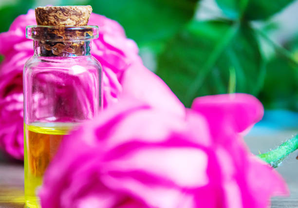 istock tea rose oil in a small bottle. selective focus. 1355063725