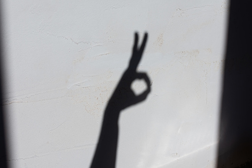Shadow from female hands on a concrete wall, hands show a rabbit