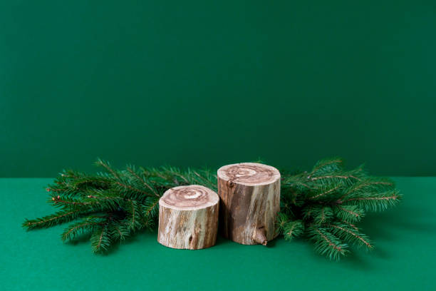 istock Empty round wooden podiums with rough textured surface and fir tree branches on green background. Two stands for eco cosmetic product advertising. Natural materials concept. Christmas holiday mockup 1355064577