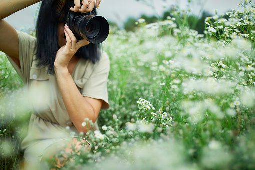 Portrait of Female photographer take photo outdoors on flower field landscape holding a camera, woman hold digital camera in her hands. Travel nature photography, space for text, top view.