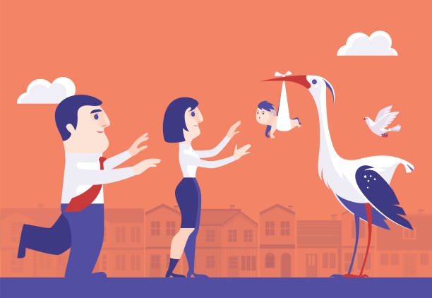 stork delivering baby to couple vector illustration of stork delivering baby to couple funny pregnancy announcements stock illustrations