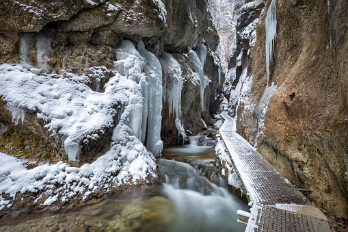 Winter landscape with a wild stream and waterfalls through a narrow gorge and canyon covered with snow and ice. The Mala Fatra national park in Slovakia, Europe.