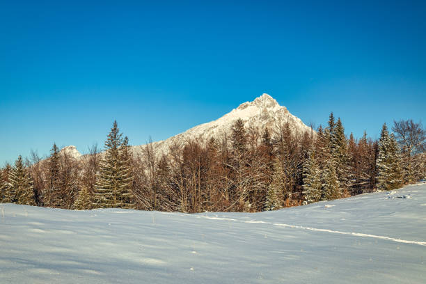 Switzerland, Alps, under the blue sky, thick snow on the top of the mountain, beautiful mountain scenery, panoramic shot