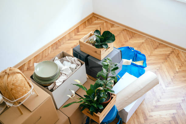 istock Moving In Into New Apartment 1355069799