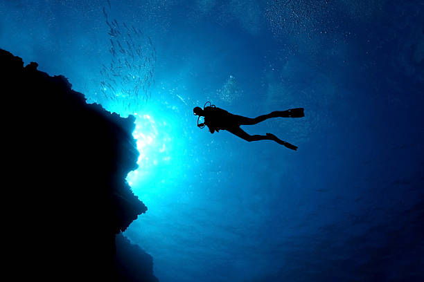 Silhouette of scuba diver swimming with school of small fish next to a coral reef - Cozumel, Mexico