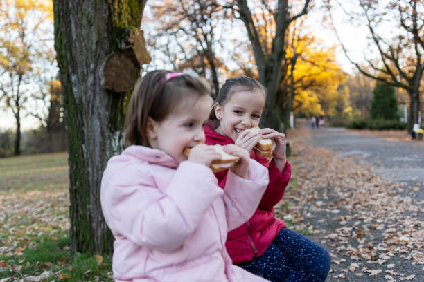 istock Children eating sandwich in public park 1355070352
