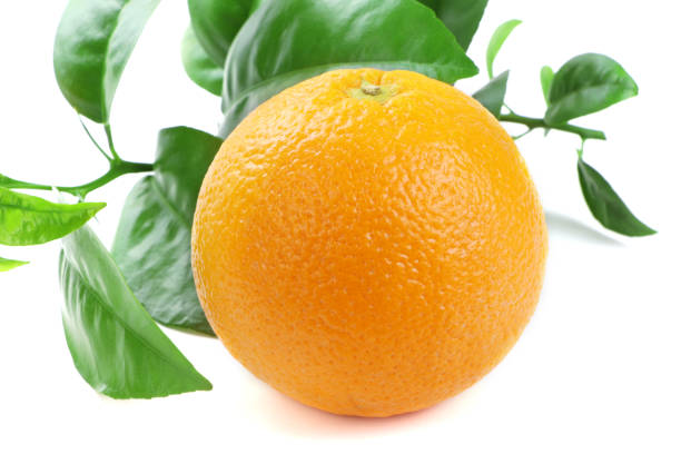 istock Orange fruit isolated on a white background. Fresh organic orange fruit with green leaves 1355071903