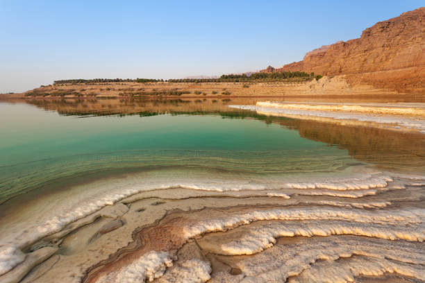 соленый пляж на берегу мертвого моря - jordan стоковые фото и изображения