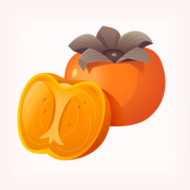 ilustrações de stock, clip art, desenhos animados e ícones de sliced persimmon fruit. isolated vector illustration of colourful fruit on transparent background. - persimmon