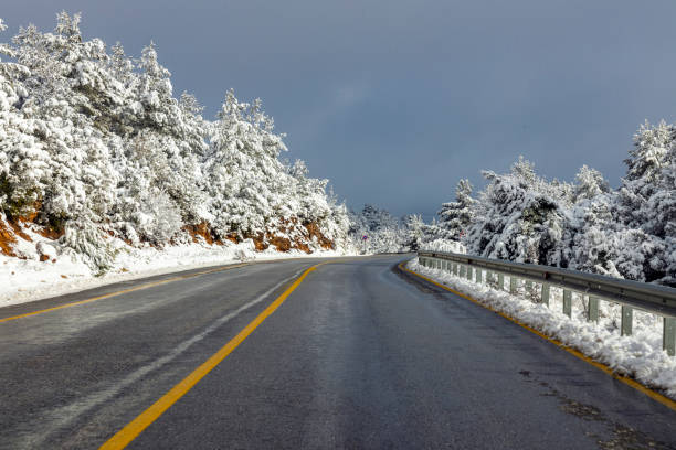 istock The road in a forest at winter time 1355079721