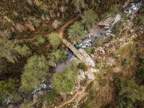 Birds-eye view of an ancient Genoese bridge passing over the the Tartagine river in the Tartagine forest in the Balagne region of Cortsica