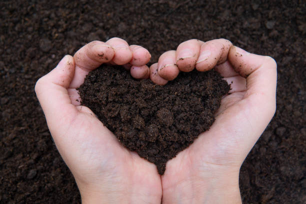 istock Heart shaped soil pile in hands 1355082019