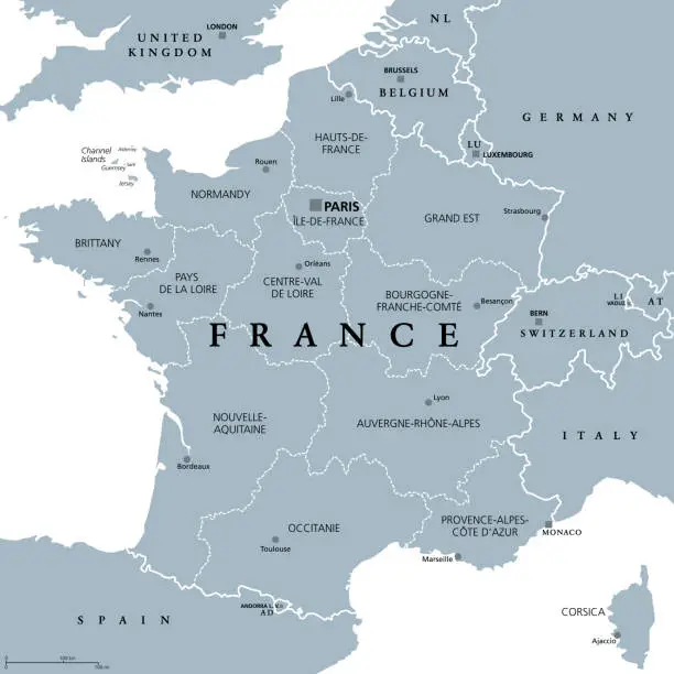Vector illustration of France, metropolitan regions, gray political map