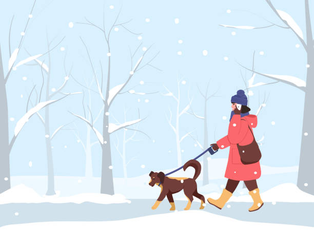 따뜻한 코트, 모자, 장갑을 낀 웃는 소녀가 눈 덮인 공원에서 개와 함께 걷고 전화로 이야기합니다. 개는 목줄을 타고 그녀 옆에 걸어간다. - young animal characters clothing coat stock illustrations