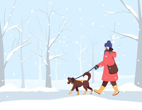 Smiling girl in a warm coat, hat and gloves walks with dog in a snowy park and talks on the phone. Dog walks next to her on a leash.
