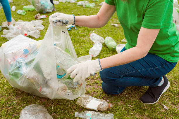 istock Volunteer collecting litter 1355086839