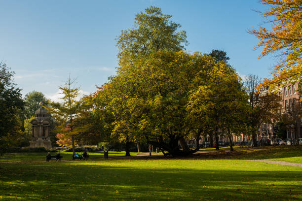 istock gold autumn in the park 1355087184