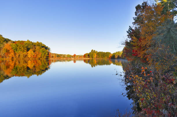 istock Beautiful New England Fall Foliage with reflections at sunrise, Boston Massachusetts. 1355089006