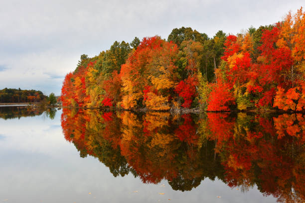 istock Beautiful New England Fall Foliage with reflections at sunrise, Boston Massachusetts. 1355089149
