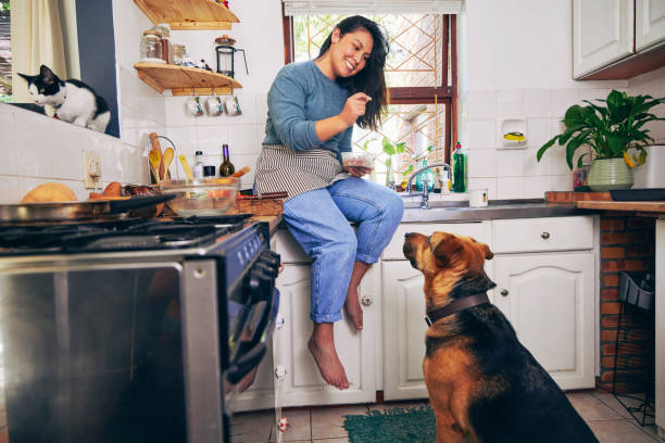 photo d’une jeune femme nourrissant son chat tout en faisant une pause dans la cuisine - dog domestic cat pets women photos et images de collection
