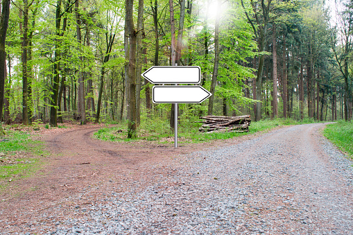 Bifurcation of a footpath in the wood - Choose your way. Empty Sign.