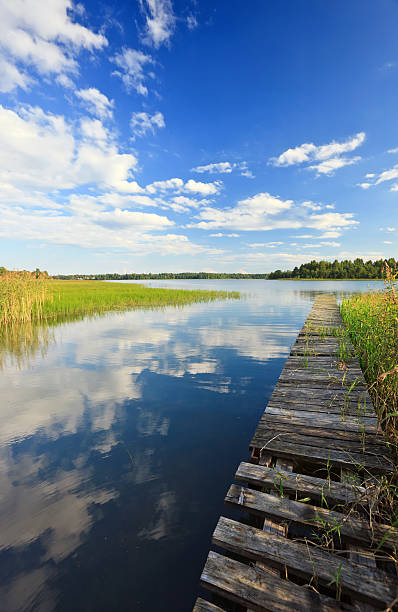 istock Summer's lake scenery with wooden bridge 135509440