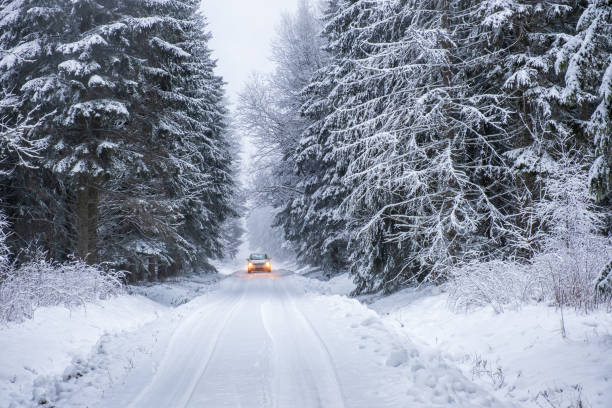 istock Car driving on a winter road in the forest 1355095355