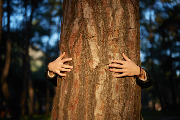 istock young woman reflects feeling hugging tree to protect forest in sunlight 1355096821