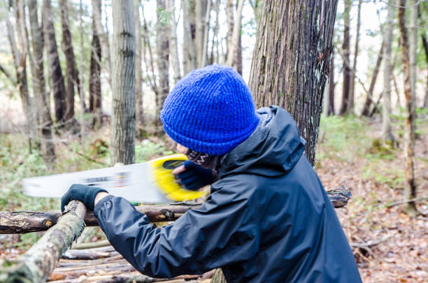 istock Boy building a shelter in the woods 1355097029