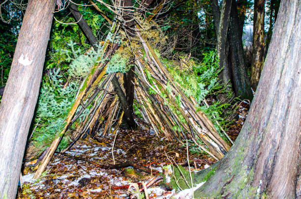 istock Home made shelter in the woods 1355097194