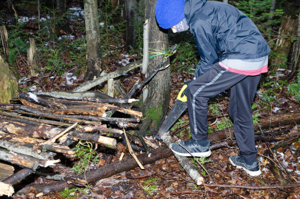 istock Boy building a shelter in the woods 1355097228