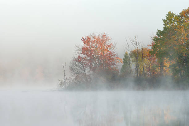 istock Autumn Hall Lake in Fog 1355103255