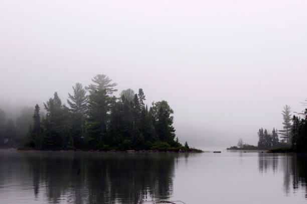istock trees on island in lake in heavy fog with copy space 1355103666