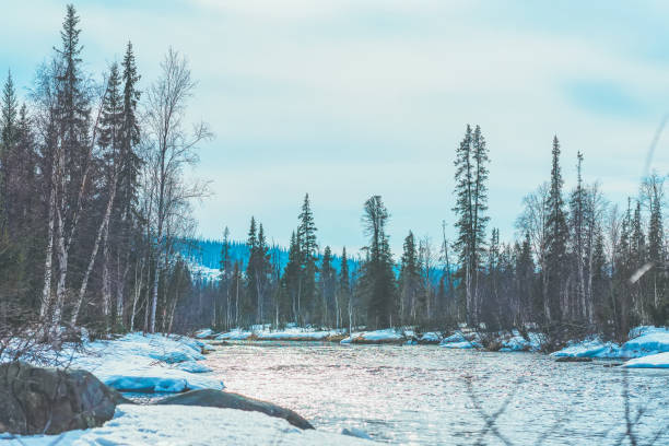 istock Landscape with river running through winter forest. Blue sky reflecting in shiny water, melting snow. Early spring 1355103699