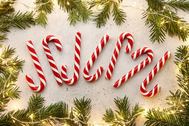 istock Sweet candy canes with fur tree decorations and christmas lights 1355104902