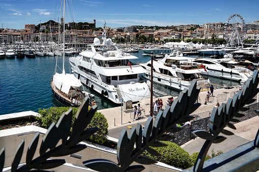 Cannes. France. Alpes-Maritimes. The palm film festival in front of the marina