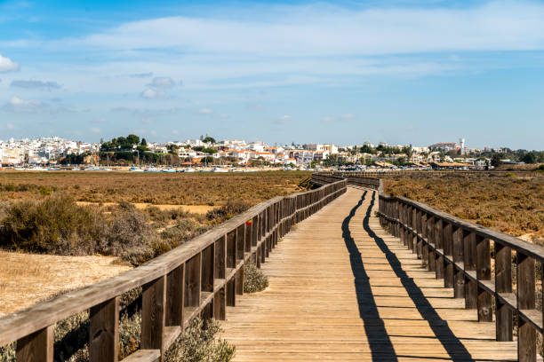 Wooden boardwalks by the coast of Alvor, Algarve, Portugal Wooden boardwalks by the coast of Alvor, Algarve, south of Portugal alvor stock pictures, royalty-free photos & images