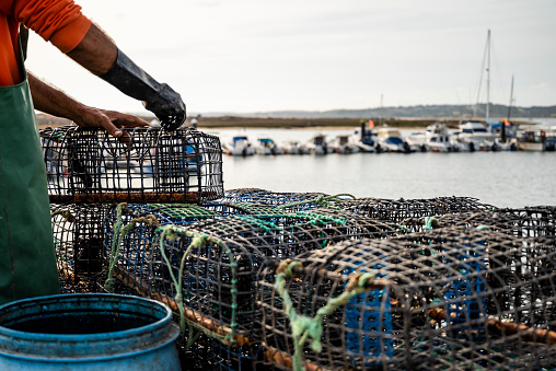Fisherman puts crab inside octopus traps in Alvor, Algarve, Portugal