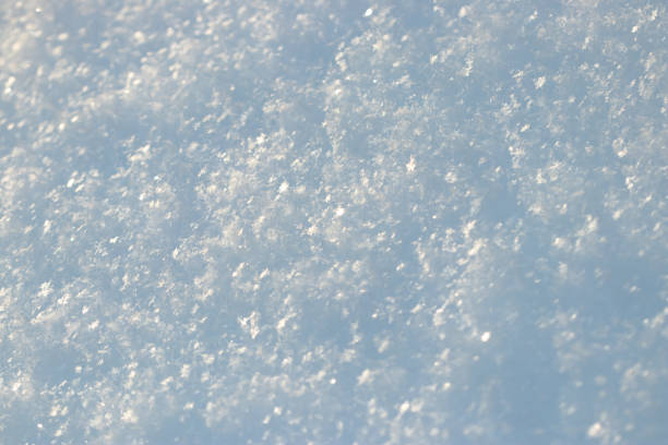 istock Many snowflakes on a snowfield 1355111601