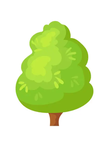 Vector illustration of Lush tree. Beautiful leafy on krone deciduous wood, vector design